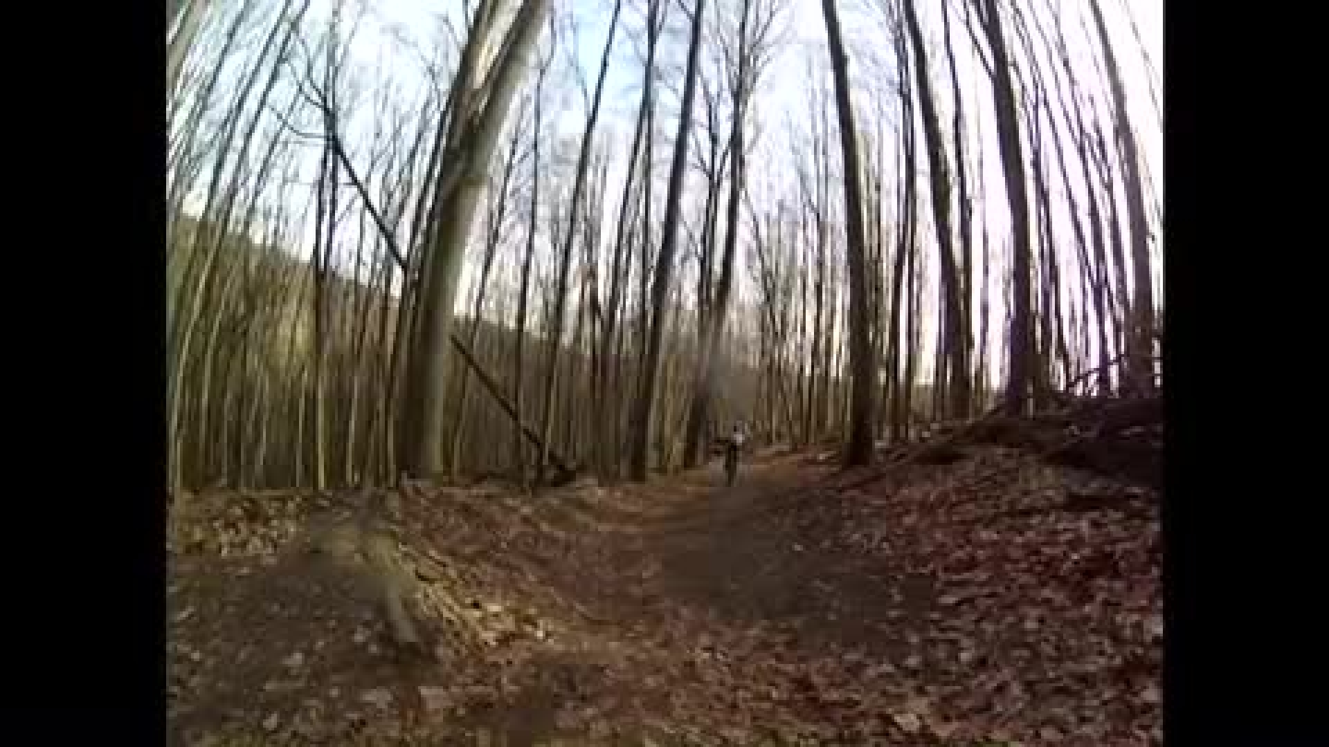 Downhill Whip 2014